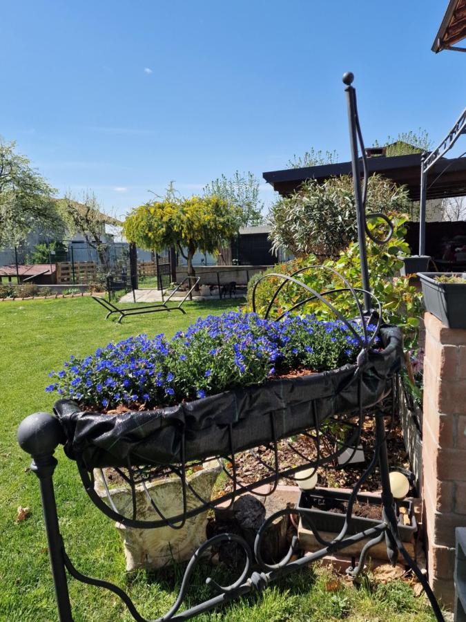 La Tana Dei Corgi Bed and Breakfast Moncrivello Exteriör bild