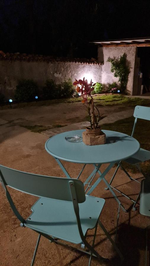 La Tana Dei Corgi Bed and Breakfast Moncrivello Exteriör bild